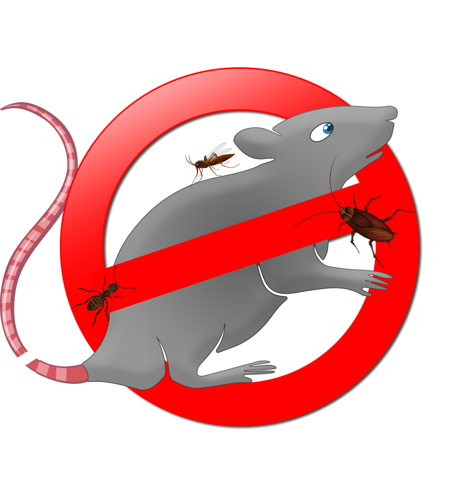 Se débarrasser des souris - SOS-Parasites votre expert en pest